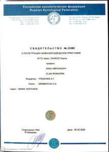 Свидетельство о регистрации заводской приставки CLAN IRONHORN в РКФ/FCI