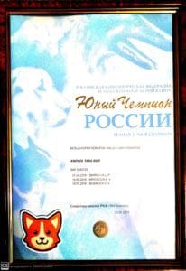 Племенная сука вельш корги пемброк ANDVOL TARA REID питомника вельш корги пемброк CLAN IRONHORN — Юный Чемпион России