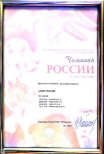 Чемпион России среди вельш корги пемброк — племенная сука ANDVOL TARA REID из CLAN IRONHORN