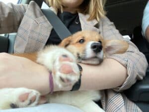 CLAN IRONHORN ALEKSANDR MAKKUIN (Шнапс) по дороге домой в Курск