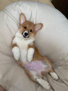 CLAN IRONHORN ALEKSANDR MAKKUIN (Шнапс) отдыхает в Курске