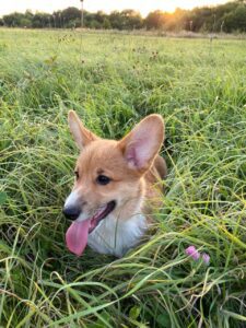 Летний отдых CLAN IRONHORN ALEKSANDR MAKKUIN (Шнапс) в Курске с другом