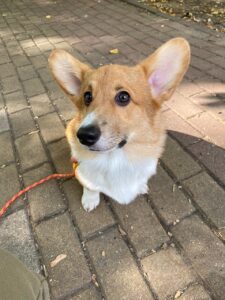 Осенний досуг CLAN IRONHORN ALEKSANDR MAKKUIN (Шнапс) в Курске