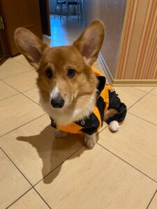 CLAN IRONHORN ALEKSANDR MAKKUIN (Шнапс) из Курска примеряет комбинезон для прогулок