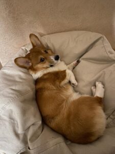 CLAN IRONHORN ALEKSANDR MAKKUIN (Шнапс) наслаждается зимнем отдыхом в Курске