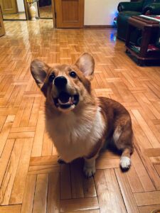 Зимний досуг CLAN IRONHORN ALEKSANDR MAKKUIN (Шнапс) в Курске