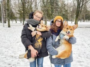 Как резвятся выпускники нашего питомника — Купер и Шнапс — на новогодних праздниках