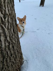 CLAN IRONHORN ALEKSANDR MAKKUIN (Шнапс) на зимней прогулке в Курске