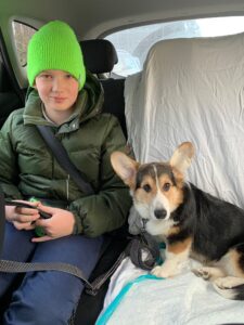 CLAN IRONHORN BERNARD SHAW, 5 месяцев, вельш-корги пемброк знакомится с новой семьёй