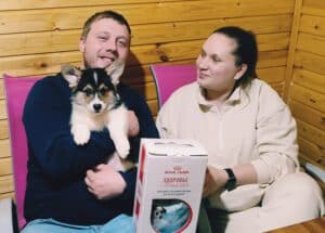 CLAN IRONHORN VALIR, 2 месяца, щенок вельш-корги пемброк встречает новых владельцев