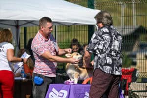 GREAT SOFI HIMERA N/B занимает третье место на выставке CAC ЧРКФ