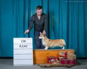 Буня на церемонии награждения в Воронеже.