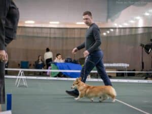 Буня с экспертами на выставке в Воронеже.