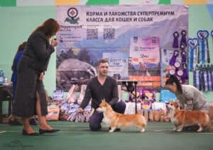 Буня среди участников выставки в Воронеже.