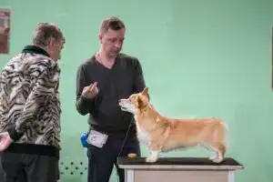 Буня с экспертами на выставке в Воронеже.