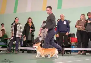 Буня окружена фанатами на выставке в Воронеже.