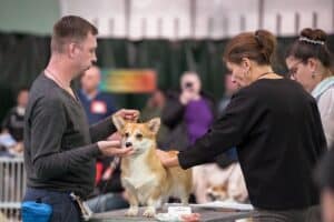 Буня на экспертизе в Воронеже.