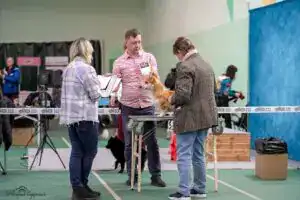 Общий вид выставки