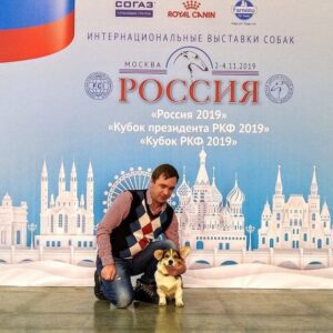 Кобель-производитель вельш корги пемброк ZELENAYA DOLINA MERCURY WINNER N/B на международной выставке собак в Москве, результат в классе щенков