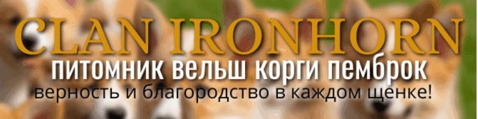 CLAN IRONHORN