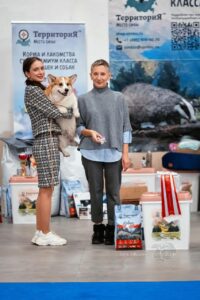 купить щенка вельш корги пемброк, родились 26.06.2025, ATSEL HOF ZLATKO с хендлером и экспертом