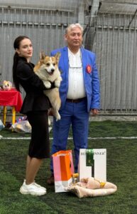 купить щенка вельш корги пемброк, родились 26.06.2025, ATSEL HOF ZLATKO получает награду