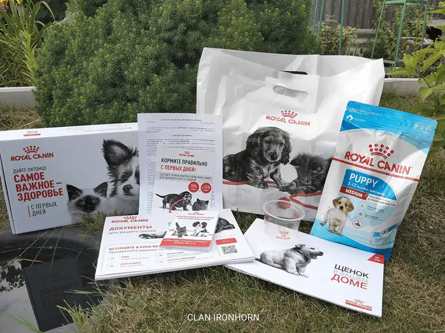 Подарок при покупке щенка вельш корги пемброк — набор Welcome Kit от Royal Canin® с кормом, аксессуарами и памяткой по уходу. Купить щенка вельш корги пемброк с заботой о здоровье