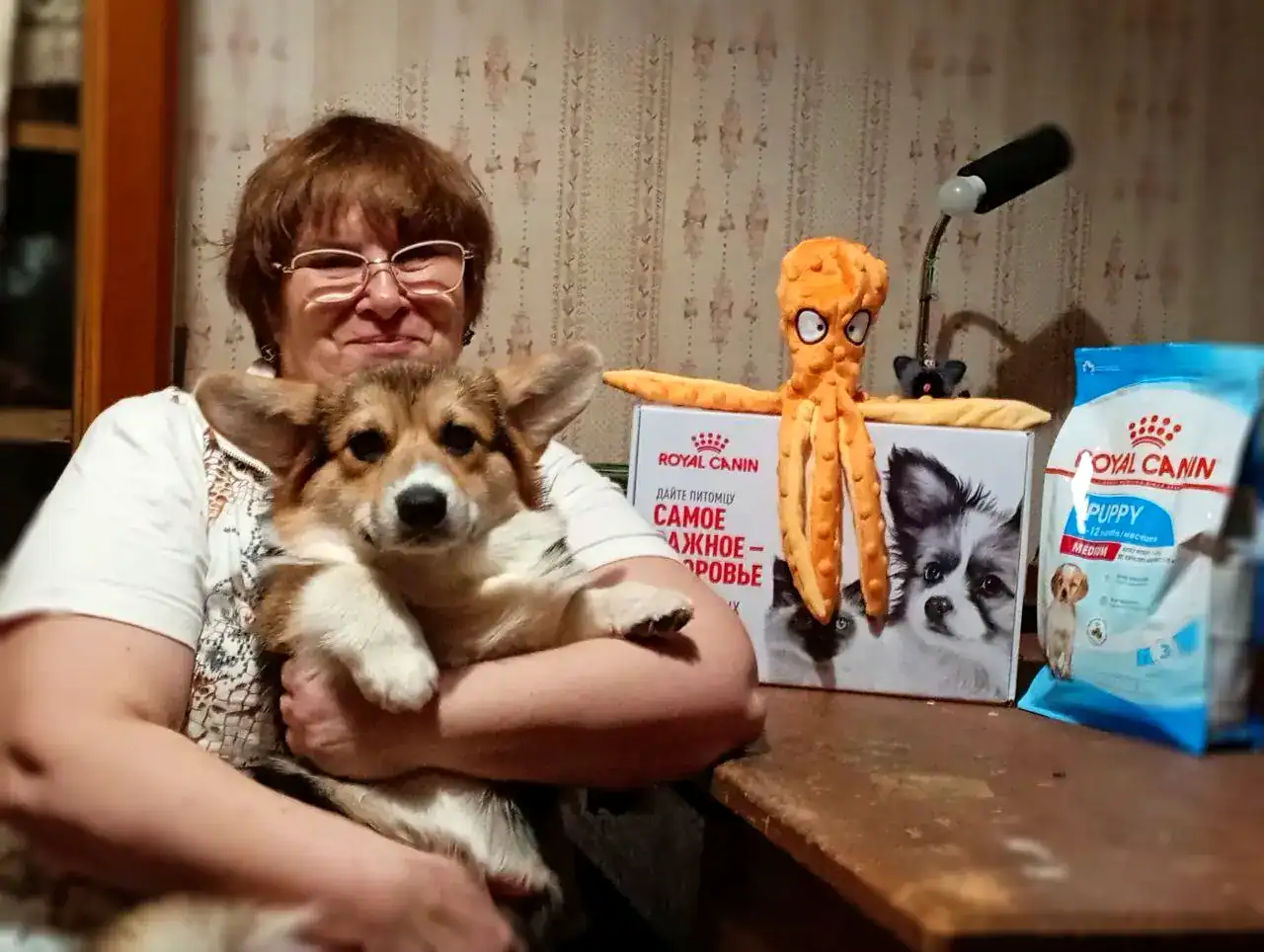 Гарри (CLAN IRONHORN GARFIELD SKY) с хозяйкой распаковывает подарки