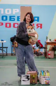 Глаша (CLAN IRONHORN GERMIONA ROSE) — племенная сука из питомника вельш-корги пемброк CLAN IRONHORN на третьем месте в Бест Шоу на выставке в Воронеже