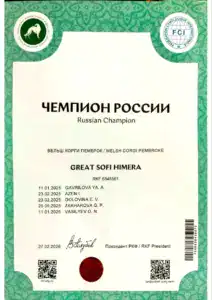 Официальное свидетельство титула «Чемпион России» собаки Буни (GREAT SOFI HIMERA)