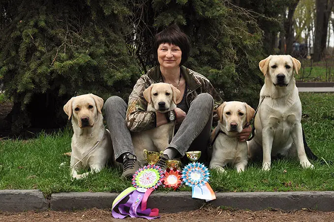 Ирина Вадимовна Коваленко, владелец и судья‑эксперт питомника лабрадоров‑ретриверов „ДИМИРА“, Воронеж, с племенными собаками — купите щенка лабрадора‑ретривера с гарантией качества
